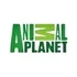 Animal Planet