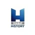 viju History